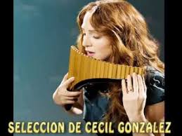 Las Mas Bellas Melodias En Flauta De Pan Seleccion De Cecil Gonzalez L Youtube Flauta De Pan Flauta Musica De Relajacion