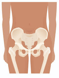 Check spelling or type a new query. Pelvic Floor Integration Coco Berlin