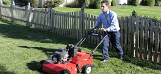 People sometimes use the words interchangeably. Core Aeration Overseeding To Fix A Dead Lawn Spring Green