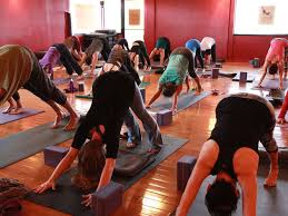Guide To The Best Yoga Studios In Los Angeles