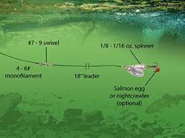 Flyfishing and the spiritual journey and the whispered teachings of grandmother trout a novel conveying the. How To Fish For Trout Oregon Department Of Fish Wildlife