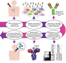 Systems Biology-Based Platforms to Accelerate Research of Emerging  Infectious Diseases