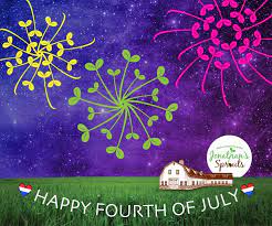 Heading Out To Watch Some Fireworks This Weekend Don T Forget To Bring Some Sprouts Along For A Healthy Crunchy Sna Happy4th Of July Happy July Crunchy Snack