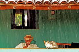 Arquivo:Chuva no sertão do Piauí.jpg - WikiParques