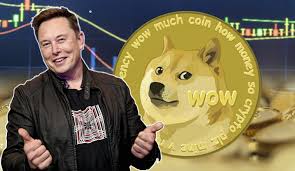 Doge) has been one of the big investing stories of the year, rising from half a penny to more than $0.72 at its height earlier this year for an. Is Dogecoin A Good Investment All You Need To Know Before Investing