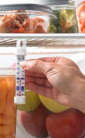 Half of us don't know the optimal temperature our fridges should be to ensure its contents don't go off any earlier than they should. Refrigerator Thermometers Cold Facts About Food Safety Fda