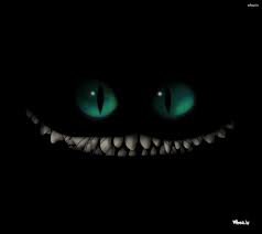 Check spelling or type a new query. How To Train Your Dragon Face With Dark Background Hd Wallpaper