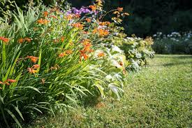 Tubino aderente con fiorellini rossi. Crocosmia Yougardener