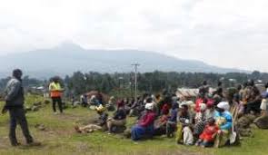 Image result for isolona lebrunii