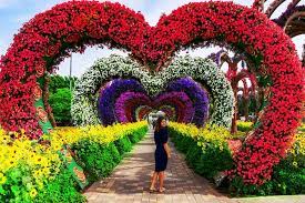 Dubai miracle garden is ideal for botany enthusiasts. Dubai Miracle Garden Und Global Village Shopping Tour 2021 Tiefpreisgarantie