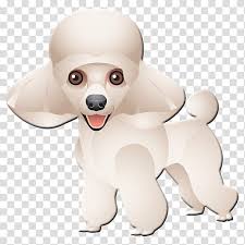 Bamboo Poodle Maltese Dog Toy Poodle Miniature Poodle Puppy Cartoon Pet Transparent Background Png Clipart Hiclipart Thousands of free cartoons, caricatures and comics. bamboo poodle maltese dog toy poodle