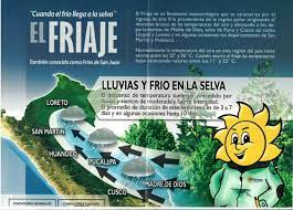Reportes climáticos generados continuamente para el productor agrícola de san juan. Cuando El Frio Llega A La Selva El Friaje Tambien Conocido Como Frios De San Juan Servicio Nacional De Meteorologia E Hidr Meteorologia Meteorologico Frio
