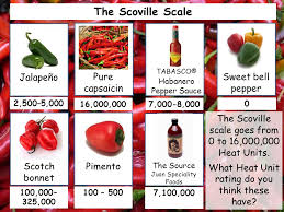 77 Explicit Chili Heat Scale