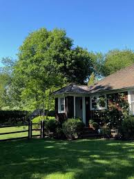 Check spelling or type a new query. Habitually Chic Chris Kann S Charming Sag Harbor Cottage