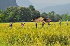 The fight between america and south asia is now known as the secret war, according to hmong american peace academy. Our History Hmong Association Of Washington