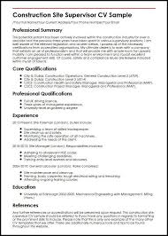 Pin En Example Resumes