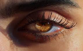 Pin By Rand Harith On Eyes Aesthetic Eyes Honey Eyes Color Beautiful Eyes Color