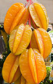 The yellow fruit grows on trees in india, asia, south america, australia. Star Fruit Healthier Steps