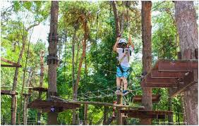 Check spelling or type a new query. DestinaÈ›ii De Weekend LangÄƒ BucureÈ™ti 10 Locuri Unde PoÈ›i Merge Cu Familia Antena 1