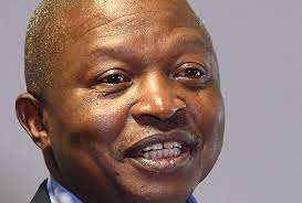 He is also better known as the son of a popular hollywood actor, steve buscemi. David Mabuza Continues To Emerge From Slumber As Deputy