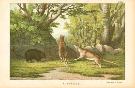 The thylacine was also known as a tasmanian tiger, a tasmanian wolf and a tasmanian hyena. Back From The Brink Is The Tassie Tiger Alive And Kicking