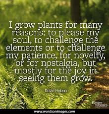 Quotes About Garden Of Love 79 Quotes