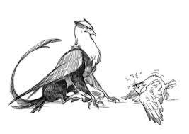 Learn how to draw dangerous animals and discover many facts at your fingertips! Dangerous Creature Fantastic Beasts Creatures Fantasy Creatures Creatures