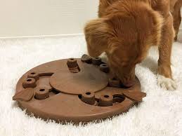 The nina ottosson outward hound dog puzzle feeder is a great way to slow down fast eaters, and challenge and stimulate your. Outward Hound Interactive Dog Toys Challenge Dogs To Find Treats