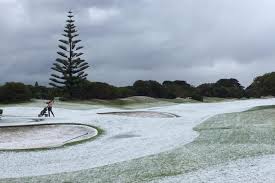 Albany — not that we're surprised! Good Sandy Cold Blast In Albany Carries April Snow In Wa For The First Time In 49 Years Onties Com