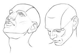 How To Draw Realistic Human Heads Images Pictures Becuo Drawings Face Drawing Drawing Heads
