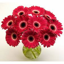 Dia menyatakan, anggrek, mawar, aster, anterium, matahari, hingga lily tersedia dalam beragam. Karangan Hand Bouquet Bunga Gerbera Toko Bunga Rawa Belong