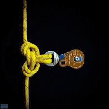 Eric Rohe (ericrohe)