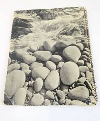 Stella & Rose's Books