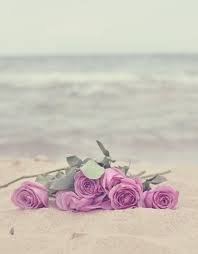 Sandy beach, cool sky, palm tree. Lavendar Roses On The Beach Iphone Wallpaper Vintage Iphone Wallpaper Vintage Quotes Flowers