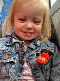 Excellent bus driver recommendations