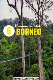 6 Exciting Sabah Itineraries 3 5 Day To One Week Trips In Sabah Borneo 2020 Bizarre Globe Hopper Malaysia Travel Borneo Borneo Travel