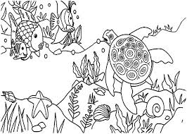 Adult coloring page, coloring page, coloring book, zebra coral coloring page, digital download, downloadable. Coral Reef Fish And Sea Turtle Coloring Pages Kids Play Color