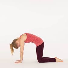 It involves moving the spine from a rounded position (flexion) to an arched one (extension). How To Do Cow Pose Or Bitilasana Ekhart Yoga