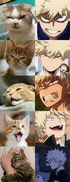 Same Energy Hero Wallpaper My Hero My Hero Academia Manga