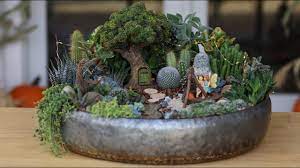 If you have a clear glass container, lay down multiple layers of different colors to be seen through the side of the container. Succulent Treehouse Fairy Garden Garden Answer Youtube
