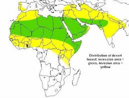 Explore the facts and statistics about the industries of africa. The Desert Locust In Africa And Western Asia Complexities Of War Politics Perilous Terrain And Development Radcliffe S Ipm World Textbook