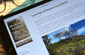 Image result for Fern Green 1994 Reliant