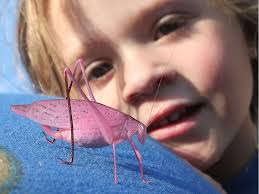 Windsor in Pictures: July 29, 2016