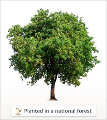 Randy Lee Hardesty Obituary September 11, 2022