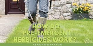 Maybe you would like to learn more about one of these? Best Pre Emergent Herbicides For Lawns How To Apply Pre Emergents Cg Lawn