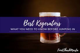 The 5 Best Kegerators For Home In 2020 Food Shark Marfa