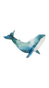 Naavocado Whale Watercolor By Me Illustration Watercolor Whale Wallpaper Watercolor Whale Watercolor Ocean Whale Painting