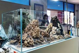Aquarium mini dari pipa pvc | aquarium unik ikan hias cupang. 26 Model Aquarium Ikan Hias Minimalis Terbaru 2021 Dekor Rumah