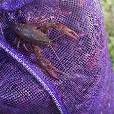 Learn how many pounds can you eat? One Sack Live Crawfish Special