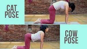 The cat pose (marjaryasana) in yoga stretches and strengthens your spine to help improve your posture and balance. Pregnancy Fitness Cat Cow Pose For Back Prenatal Yoga Youtube